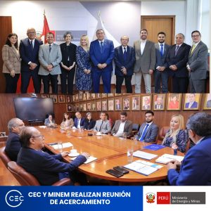 Consejo Empresarial Colombiano y Ministerio de Energía y Minas