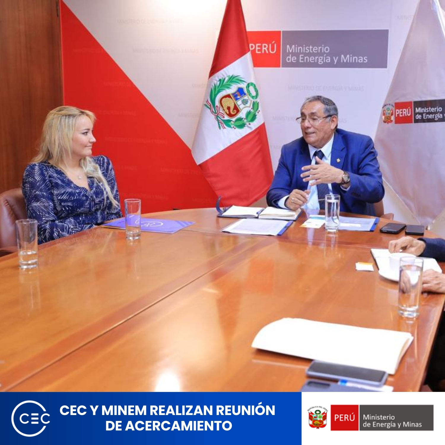 Consejo Empresarial Colombiano Ministerio de Energía y Minas